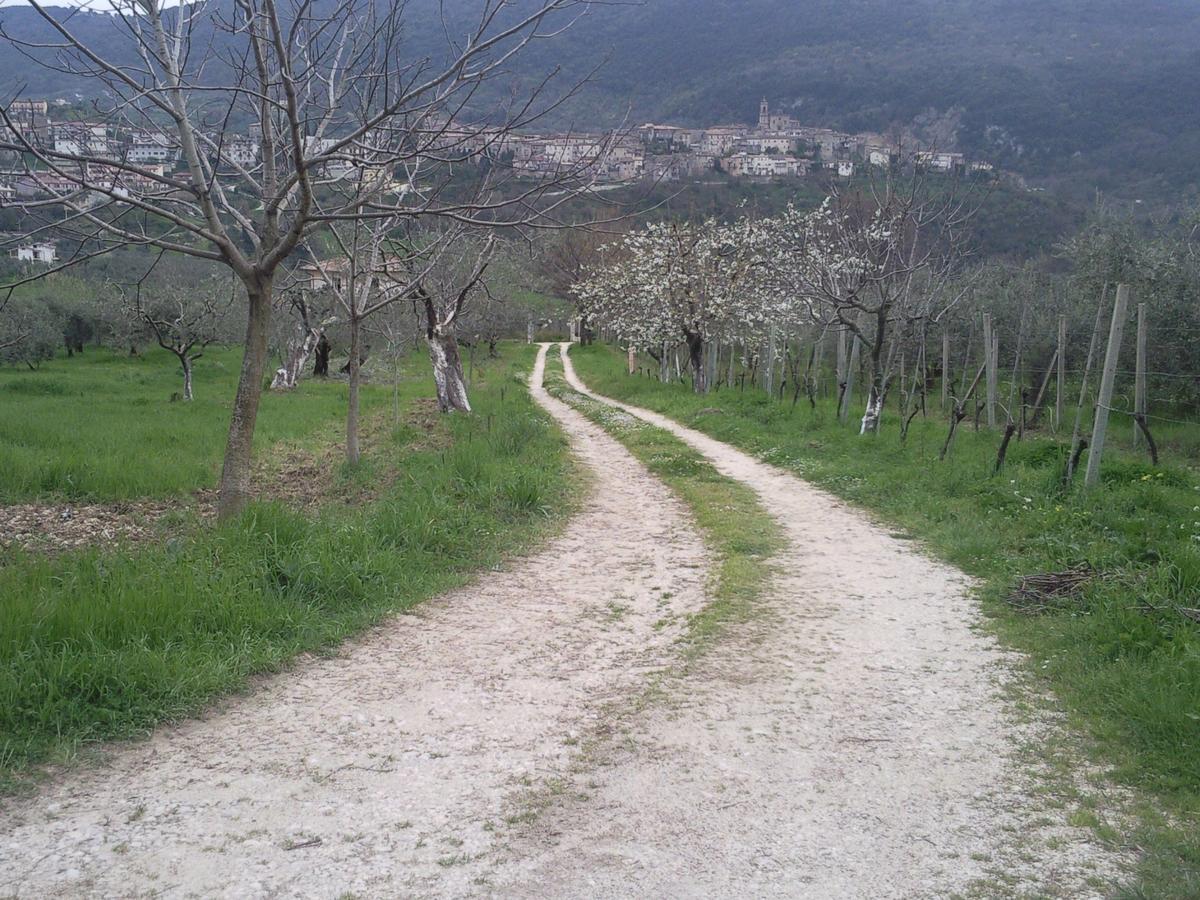 The Country Path B&B Toffia Exteriér fotografie